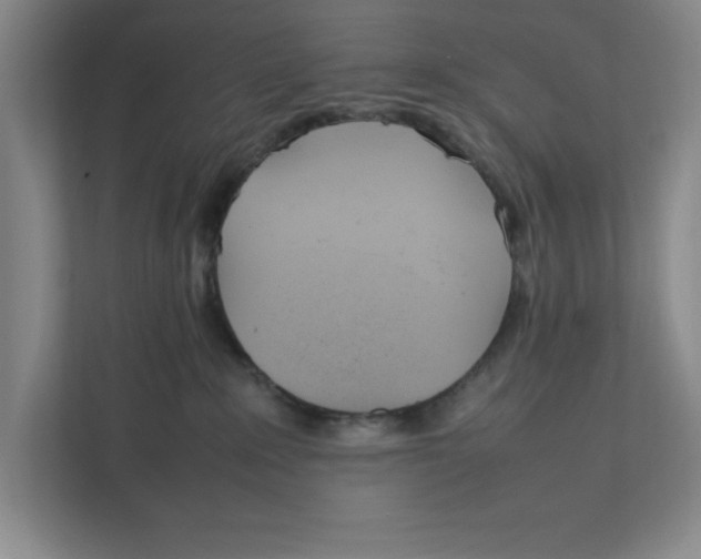 X0000111850235200908201243