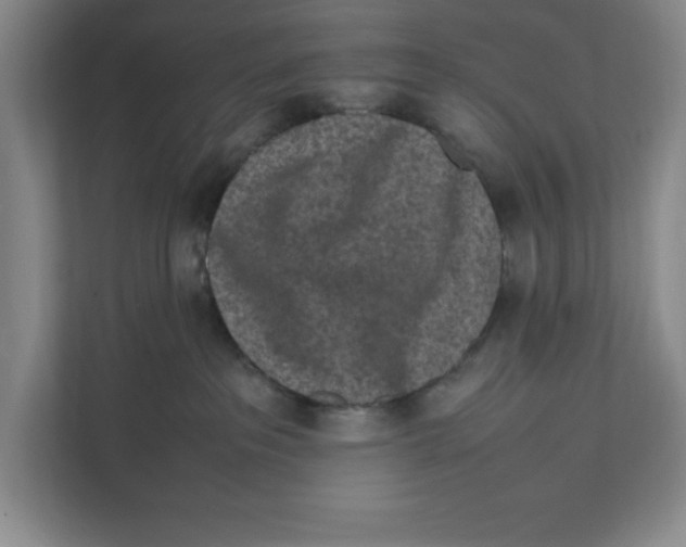 X0000111850237200908201243