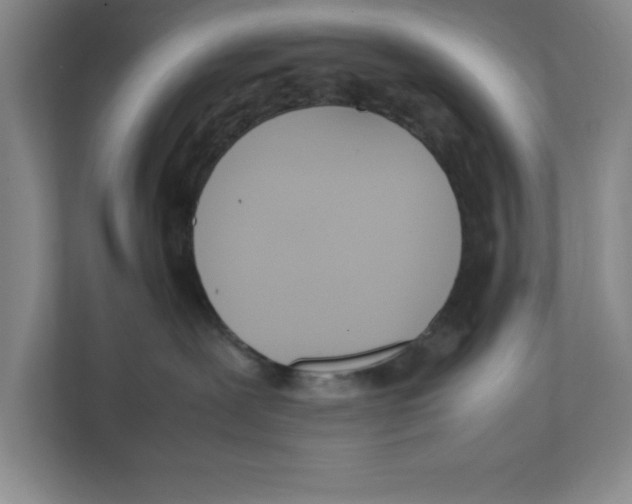 X0000111850239200908201243