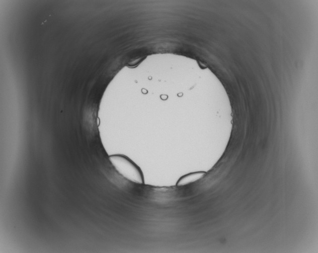 X0000111850240200908201243