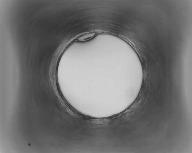 X0000111850241200908201243