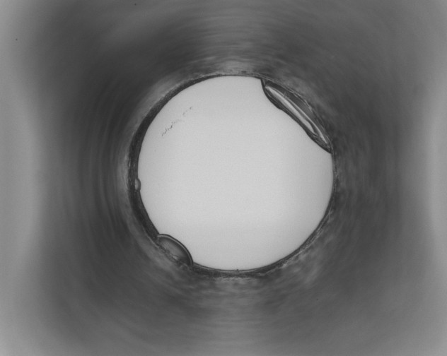 X0000111850242200908201243