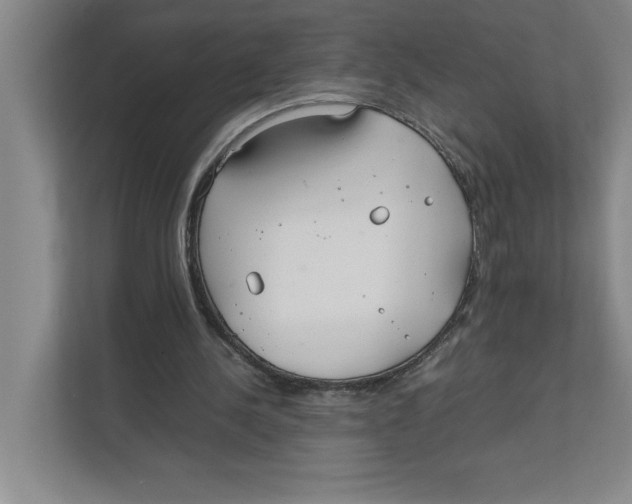 X0000111850244200908201243