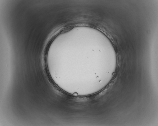X0000111850245200908201243