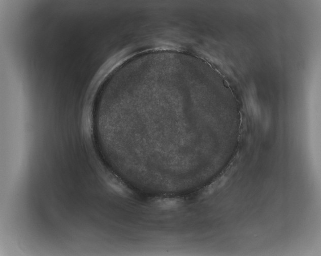 X0000111850247200908201243