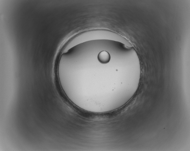 X0000111850248200908201243