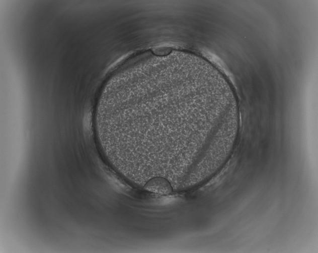 X0000111850249200908201243