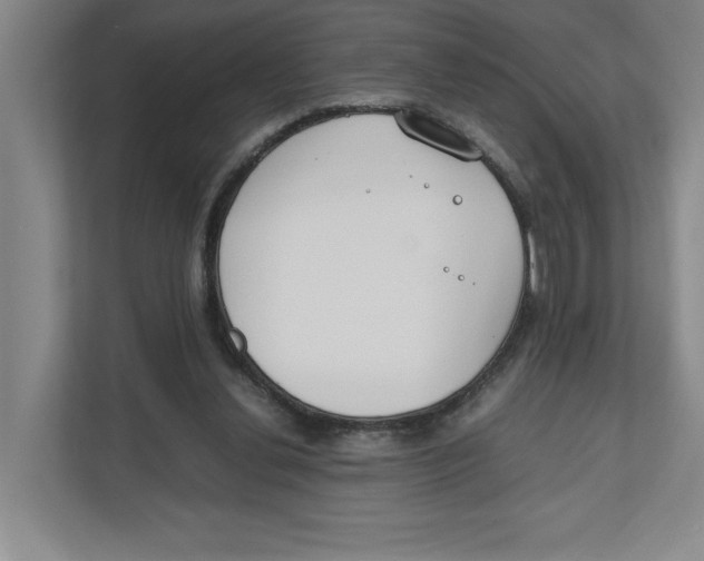 X0000111850252200908201243