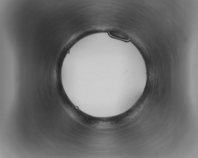 X0000111850256200908201243