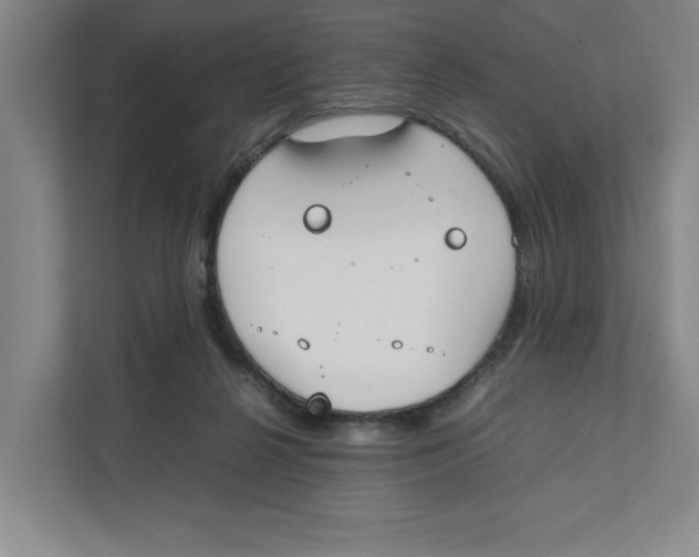 X0000111850264200908201243