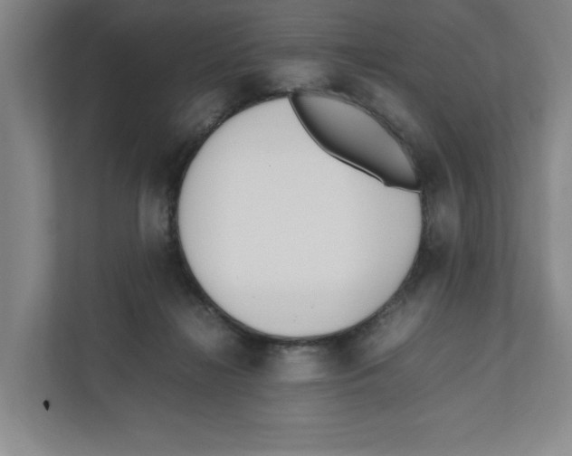 X0000111850268200908201243