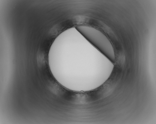 X0000111850272200908201243