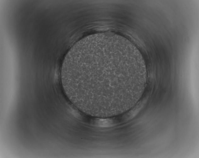 X0000111850277200908201243