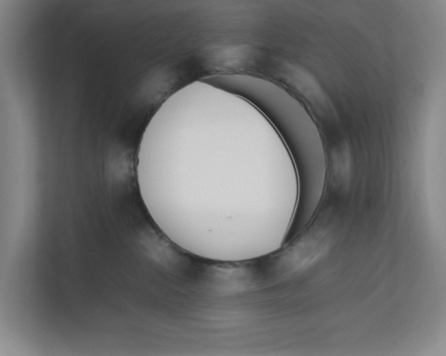 X0000111850284200908201243