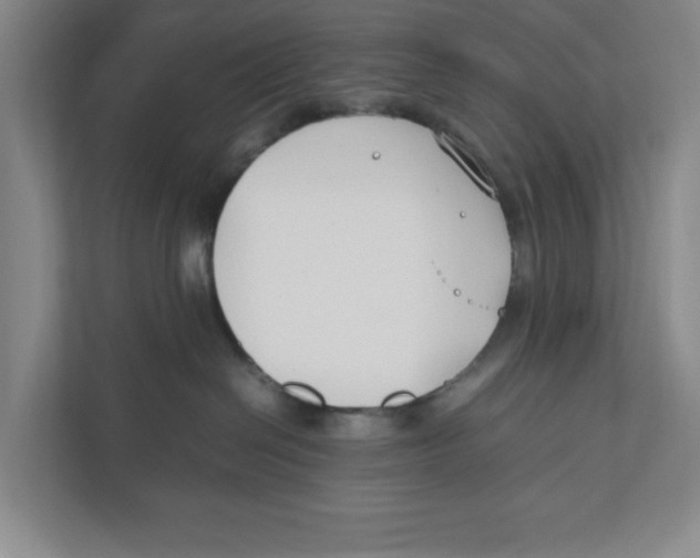X0000111850286200908201243