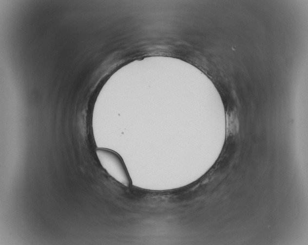 X0000111850291200908201243
