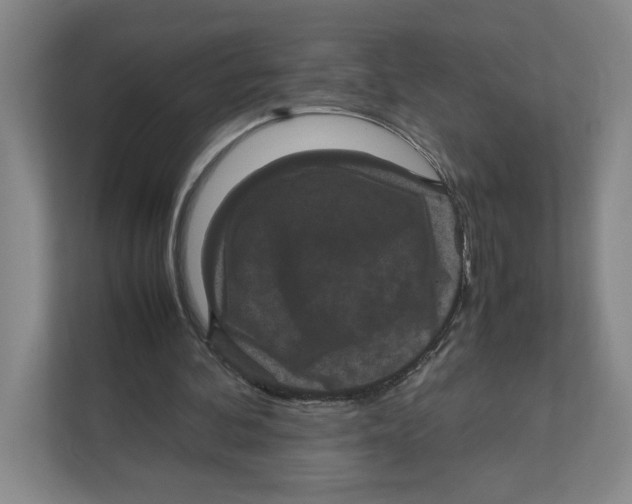 X0000111850292200908201243