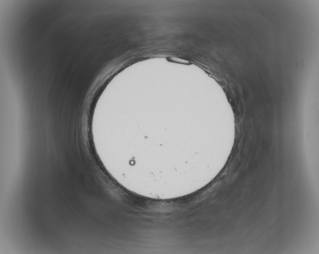 X0000111850293200908201243