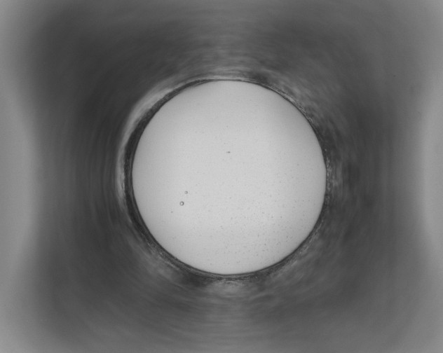 X0000111850294200908201243