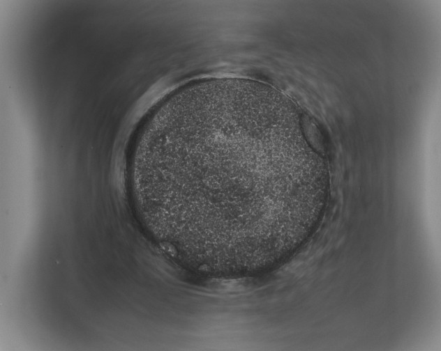 X0000111850295200908201243