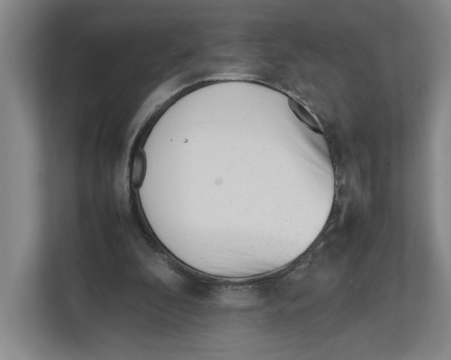 X0000111850296200908201243