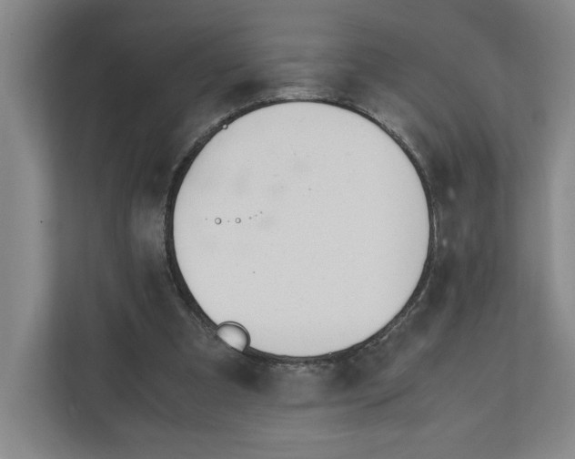 X0000111850297200908201243