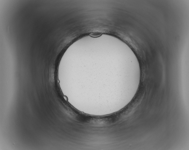 X0000111850299200908201242