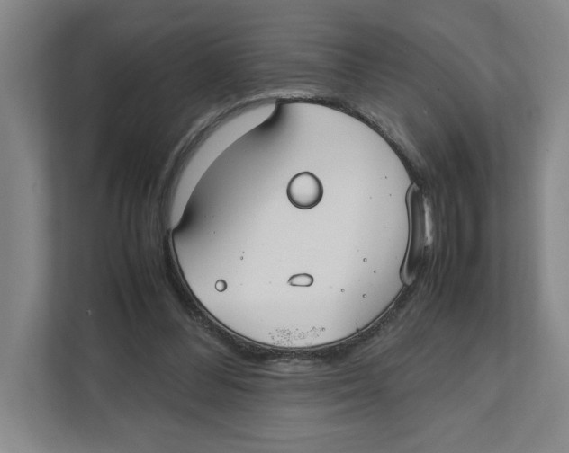 X0000111850300200908201242