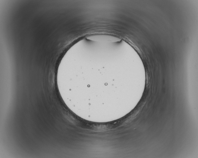 X0000111850301200908201242