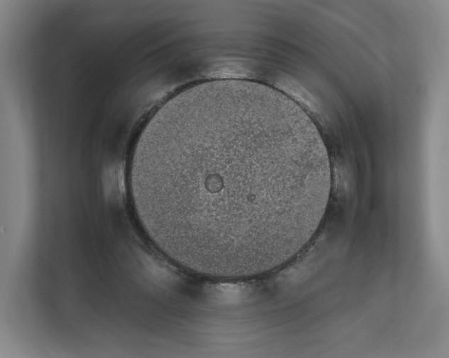 X0000111850302200908201242