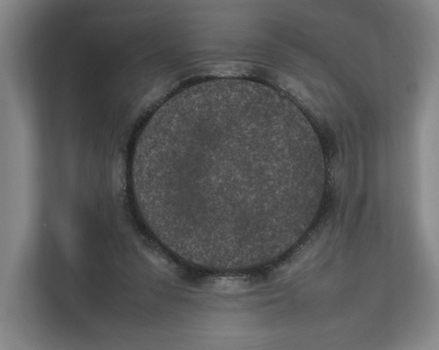X0000111850303200908201242