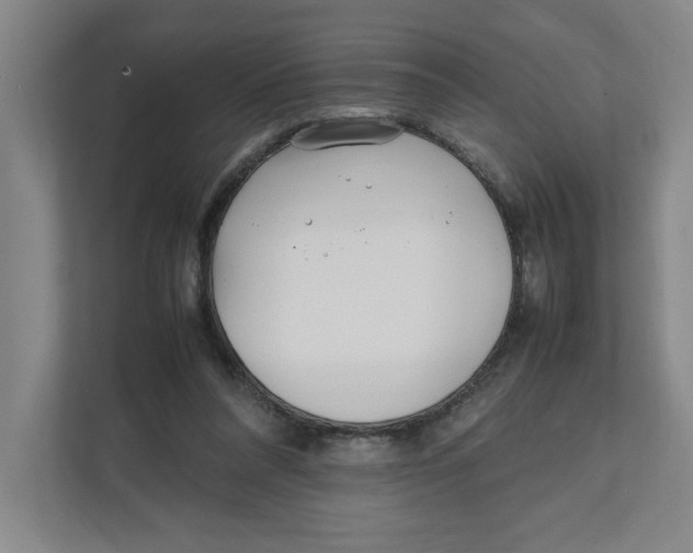 X0000111850304200908201242