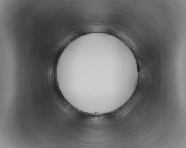 X0000111850306200908201242