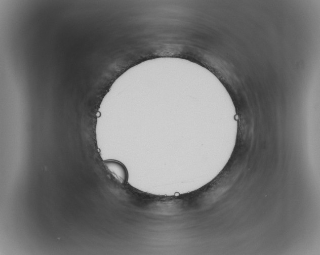 X0000111850307200908201242