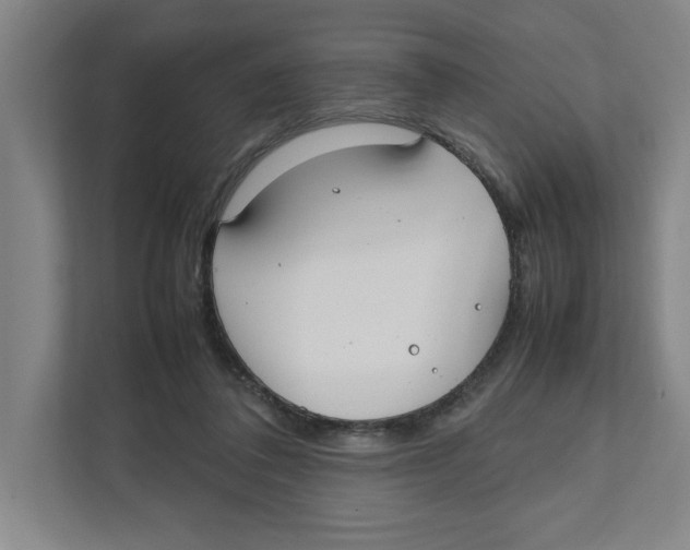 X0000111850308200908201242