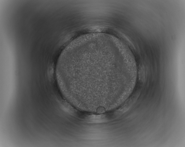 X0000111850314200908201242
