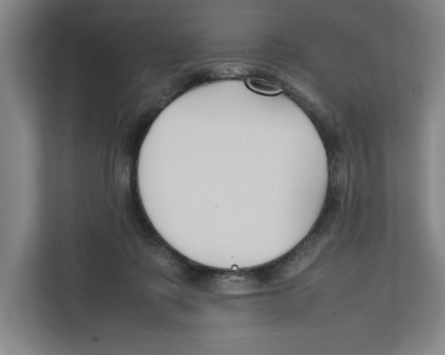 X0000111850315200908201242