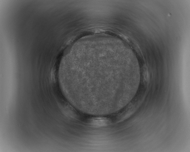 X0000111850316200908201242