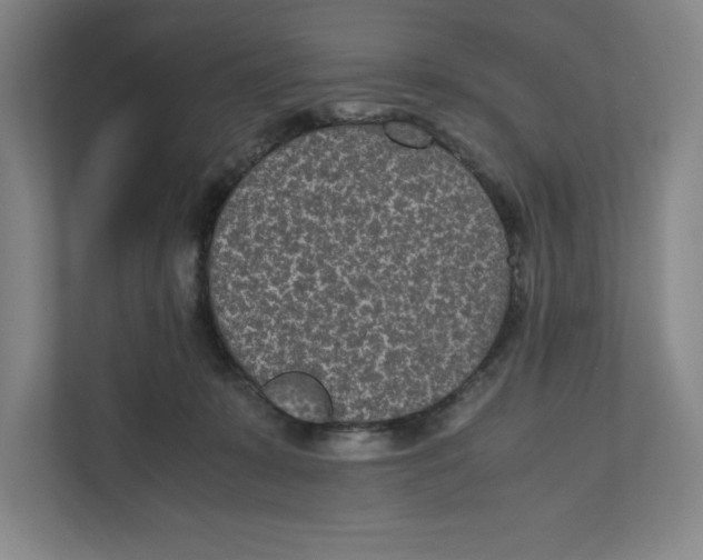 X0000111850319200908201242