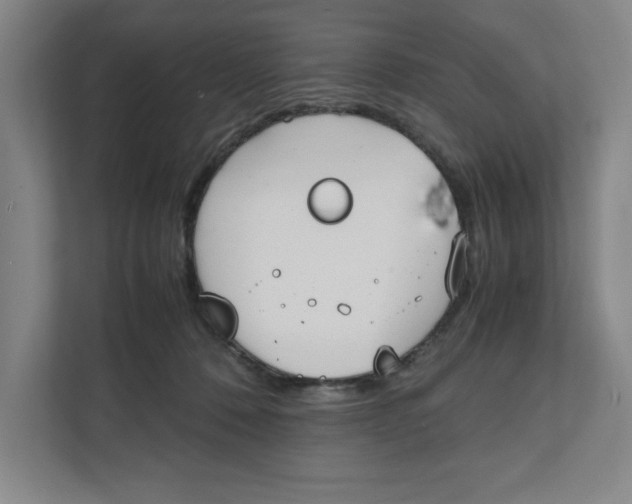 X0000111850320200908201242