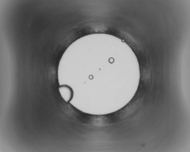 X0000111850321200908201242