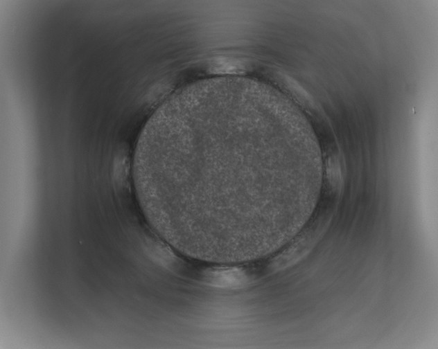X0000111850322200908201242