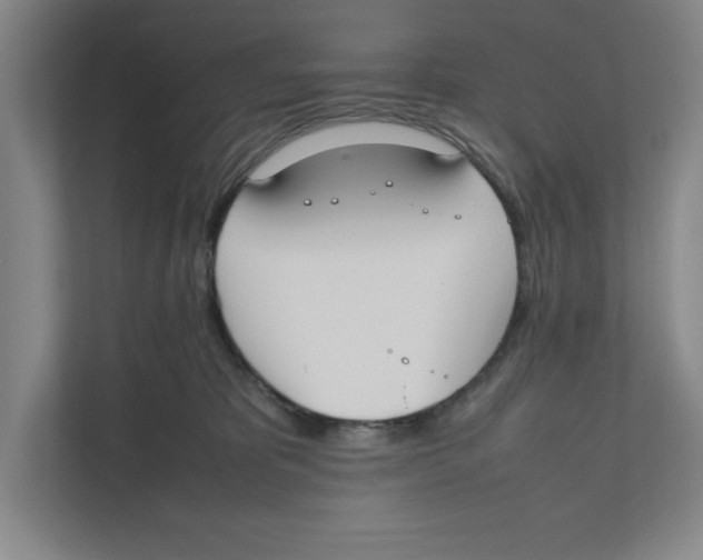 X0000111850325200908201242