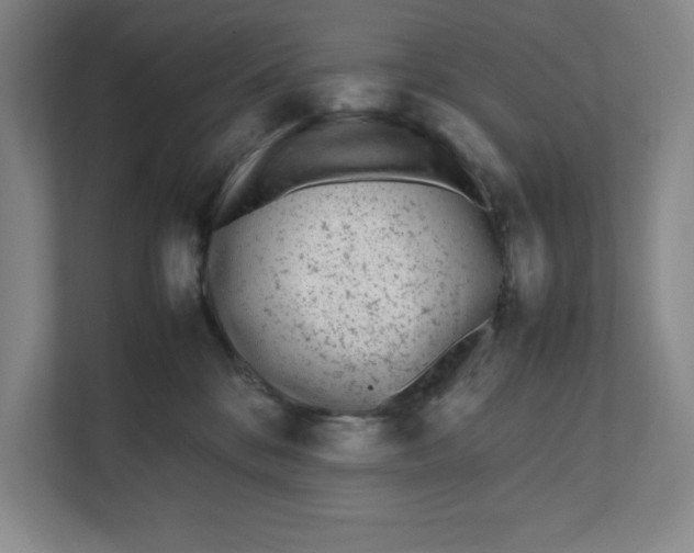 X0000111850328200908201242