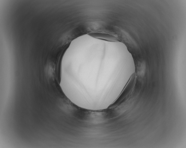 X0000111850332200908201242