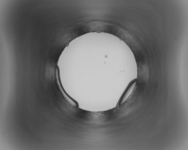 X0000111850333200908201242