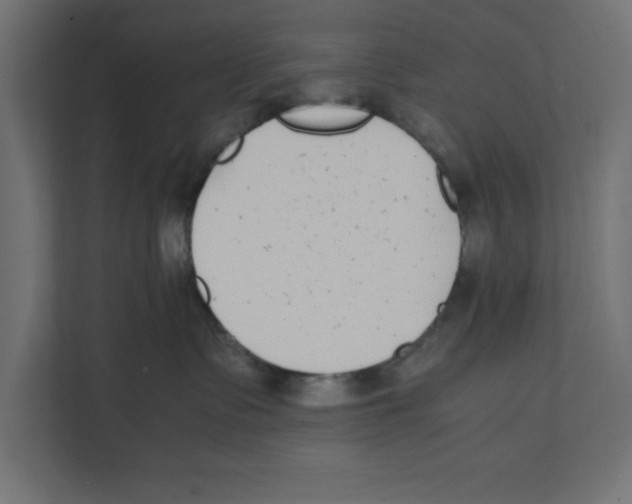 X0000111850335200908201242