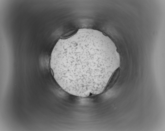 X0000111850336200908201242
