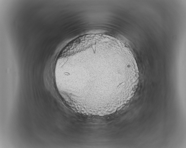 X0000111850337200908201241