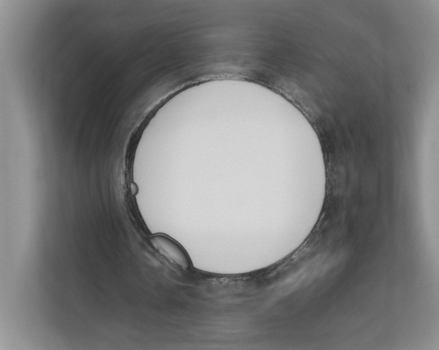 X0000111850338200908201241